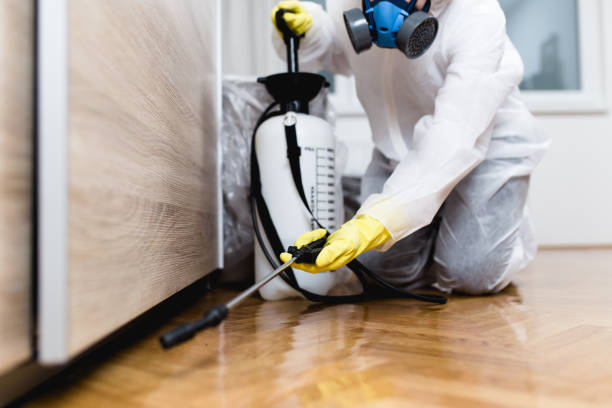 Best Ant Control Services  in Greenfield, IL