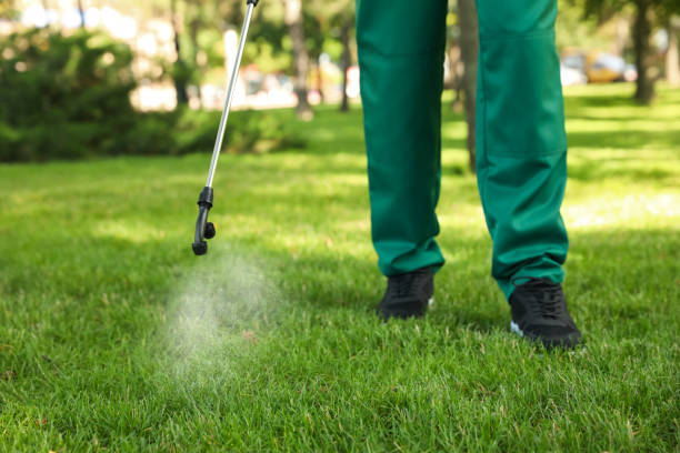 Best Affordable Pest Control Services  in Greenfield, IL