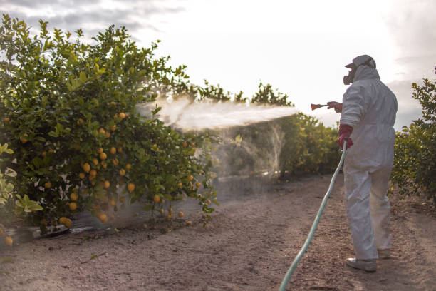Best Emergency Pest Control  in Greenfield, IL