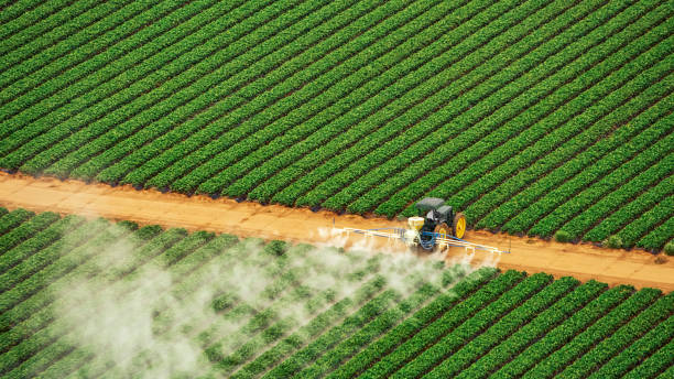 Best Mosquito Control Services  in Greenfield, IL