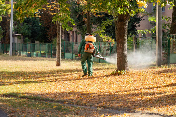  Greenfield, IL Pest Control Pros