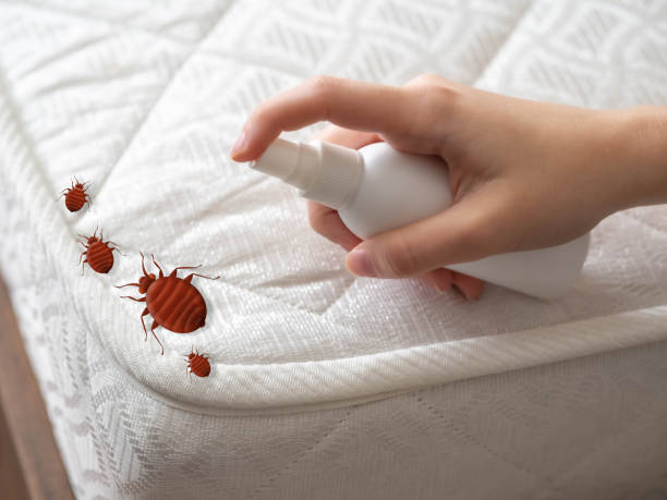 Best Wasp Removal Services  in Greenfield, IL