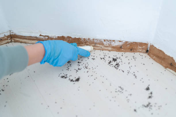 Best Best Pest Control Companies  in Greenfield, IL