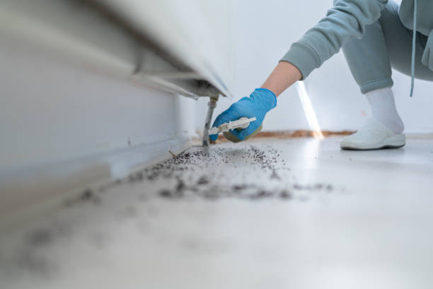 Best Affordable Pest Control Services  in Greenfield, IL