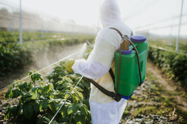 Best Cockroach Control Services  in Greenfield, IL